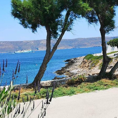 Sea Satin Sounio Apartment Sounion Bagian luar foto